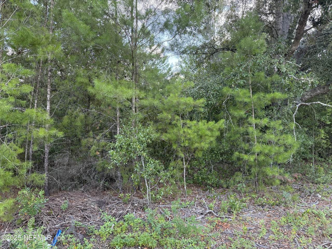 312 New Jersey Avenue - Photo 1