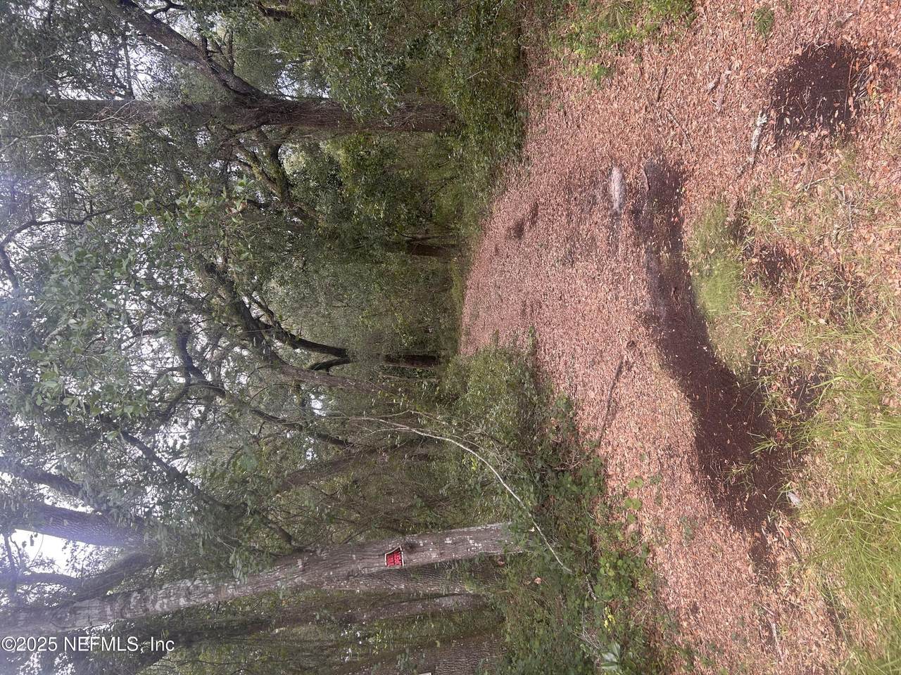 0 182ND AVE Road - Photo 1