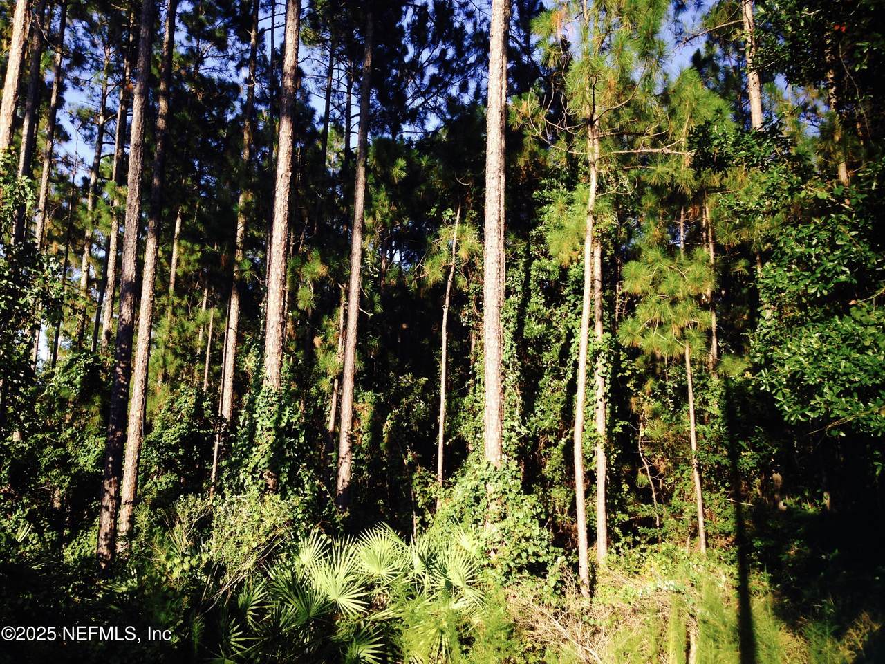 0 Fawn Lake Drive - Photo 1