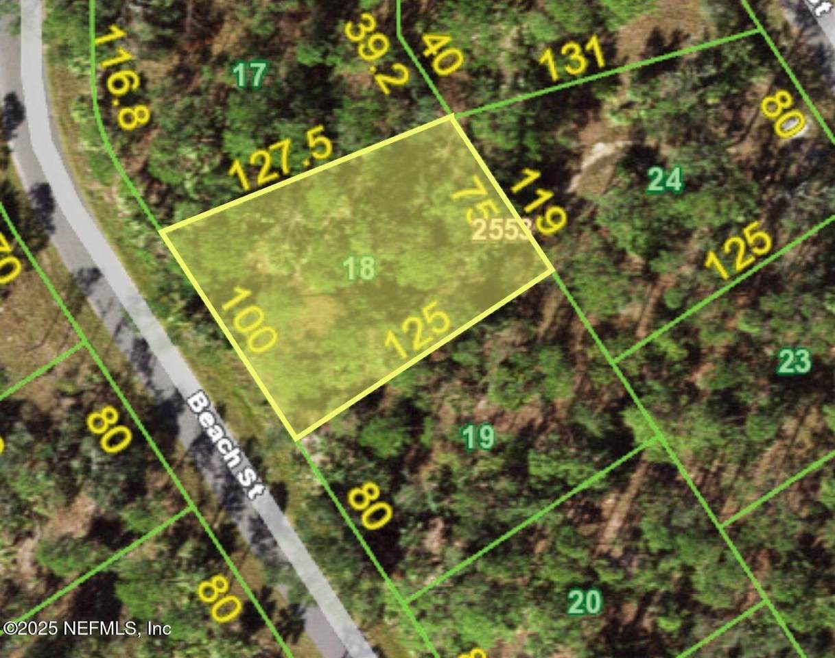 1152 Beach Street - Photo 1