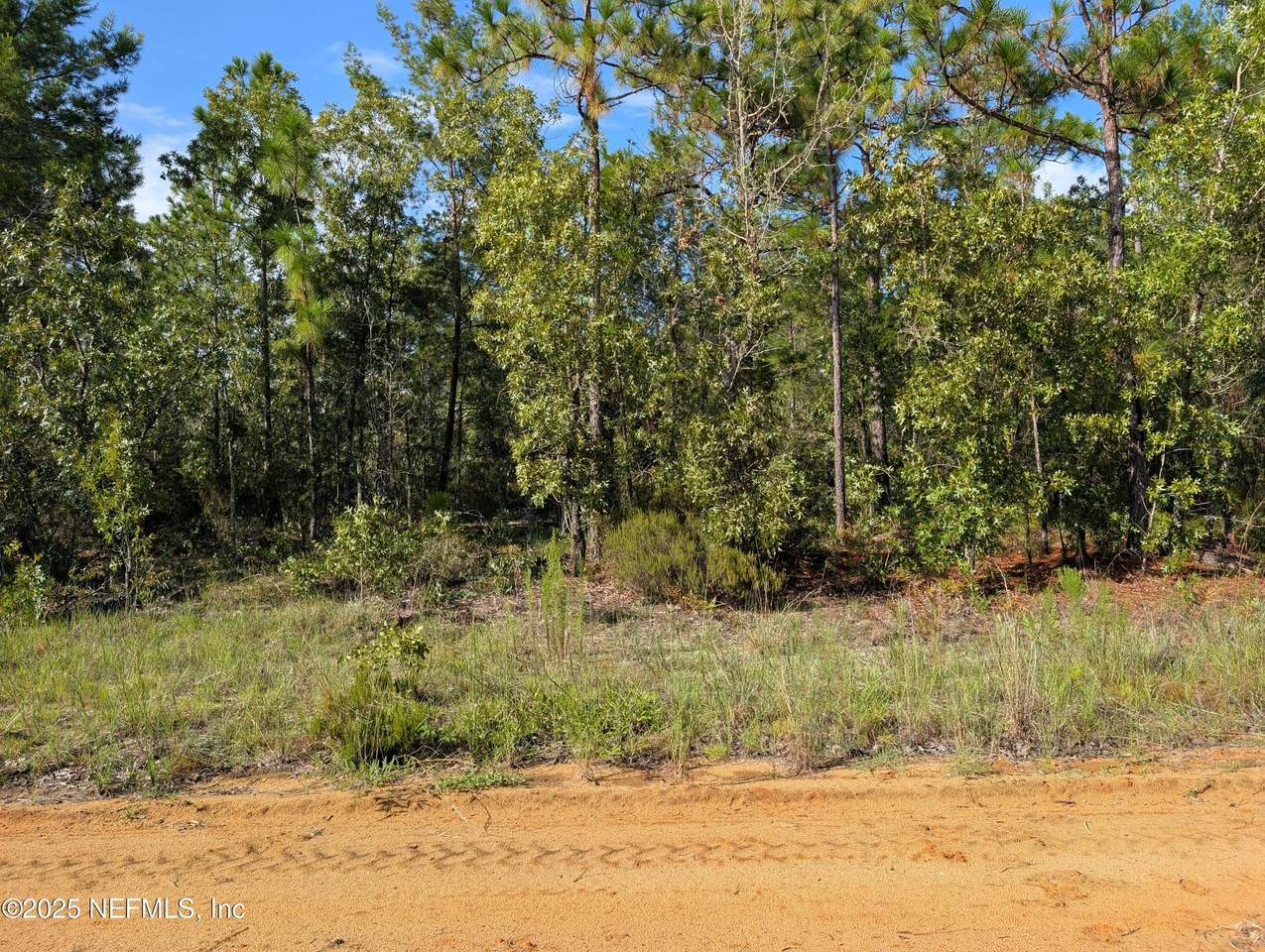 310 Lake Lucy Circle - Photo 1