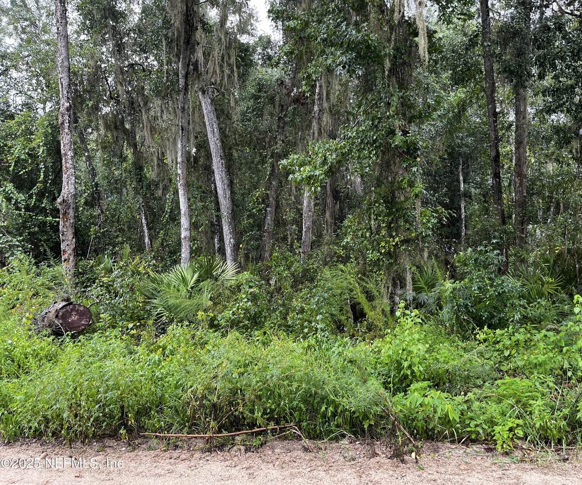 0 Woodlawn Road - Photo 1