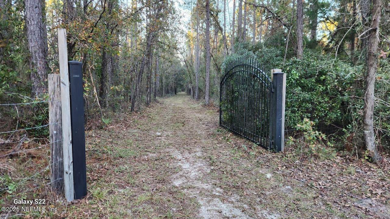 29077 Yellow Oak Court - Photo 1