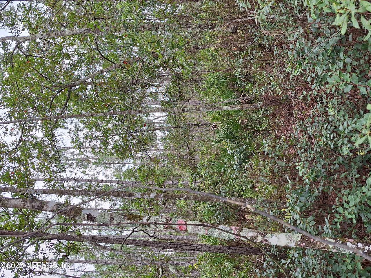 0 Don Quixote Street - Photo 1