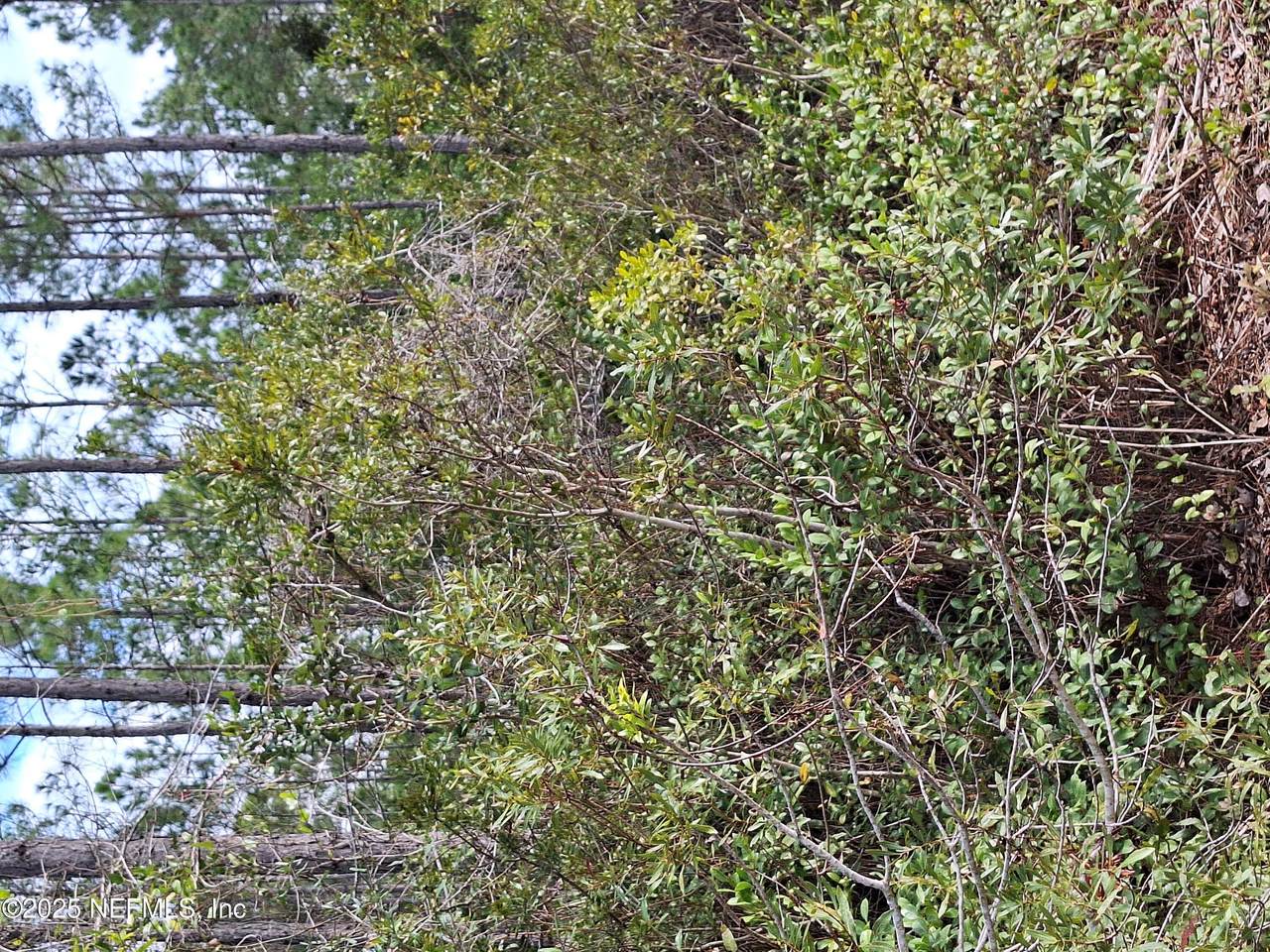 0 Escambia State Road - Photo 1