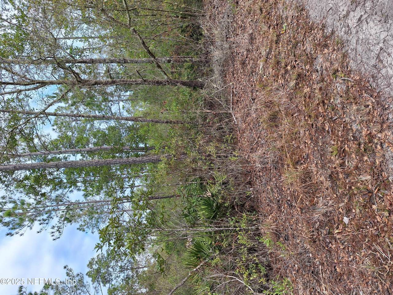 00 St Johns State Road - Photo 1