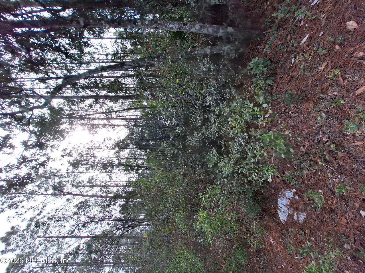 000 St Johns Street - Photo 1