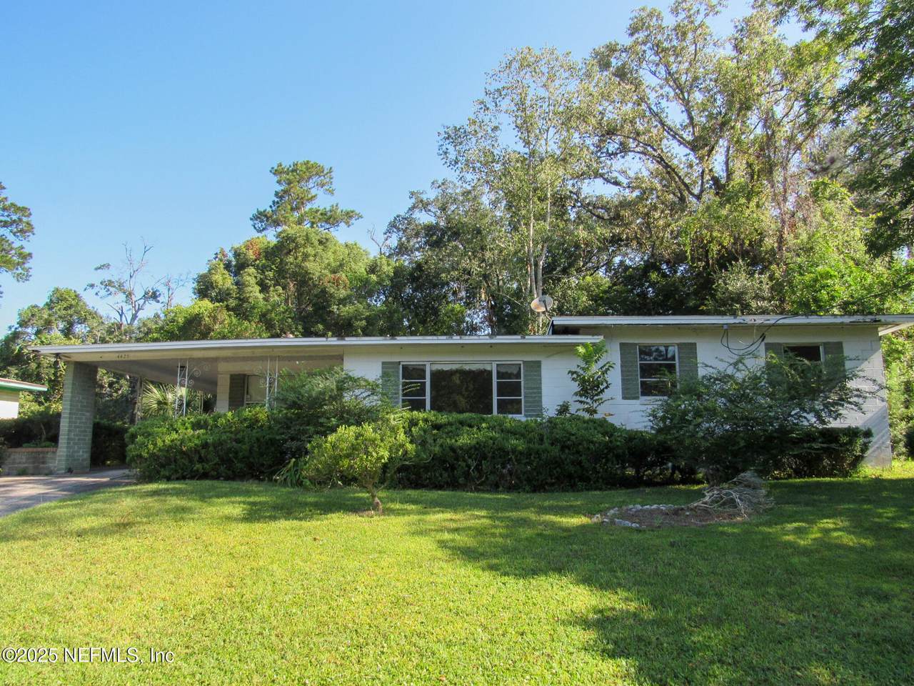 4425 Roth Drive - Photo 1