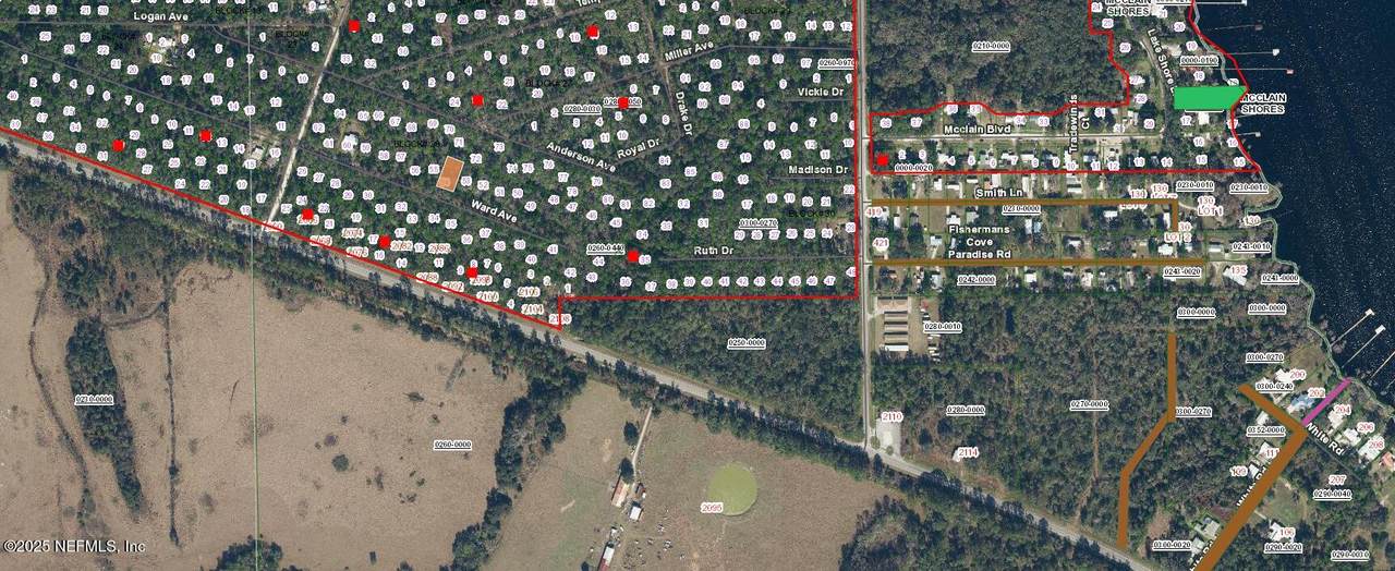 316 Ward Avenue - Photo 1