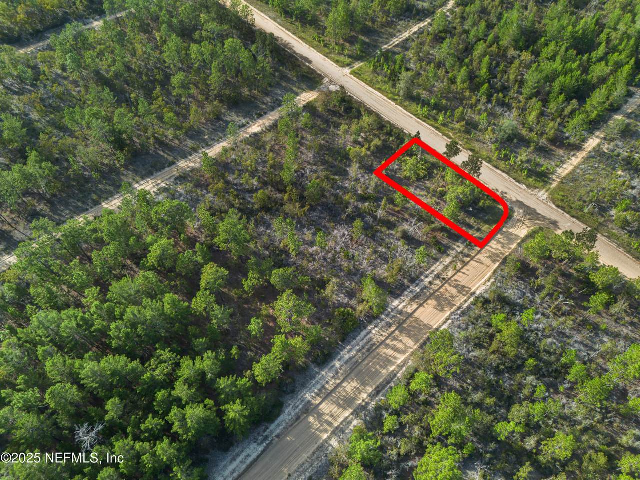 359 Dothan Street - Photo 1