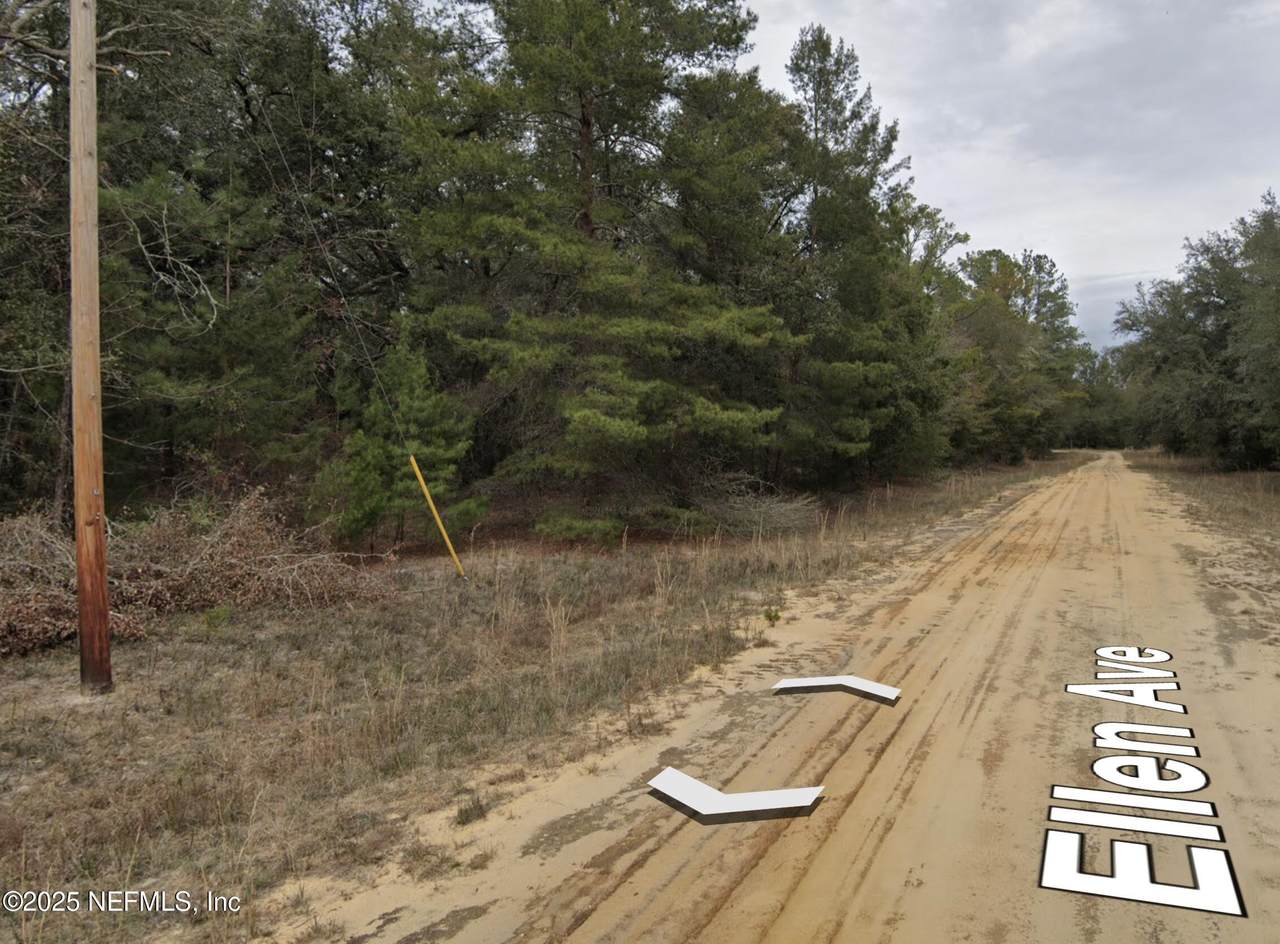 00 Ellen Way - Photo 1