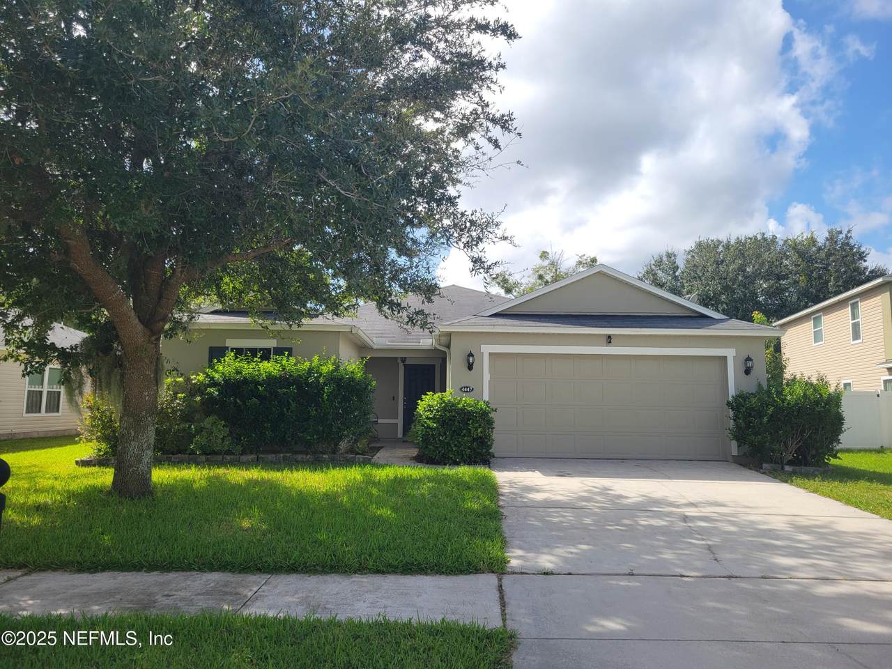 4447 Oak Moss Loop - Photo 1