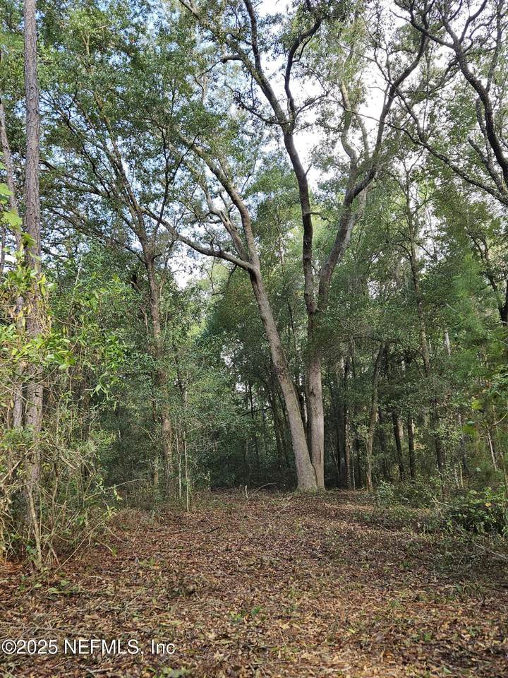 136 Lemon Street - Photo 1