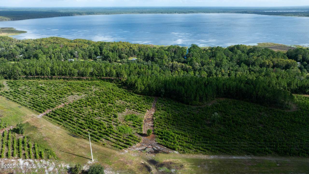 LOT 7 County Road 225 - Photo 1