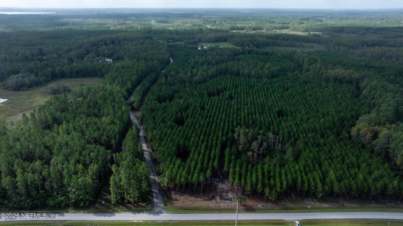 LOT 14 County Road 225 - Photo 1