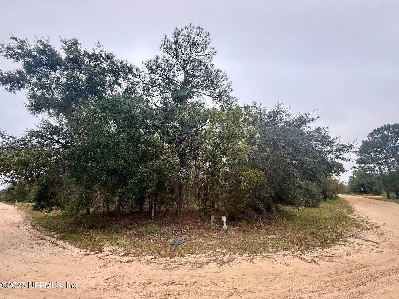 500 Georgette Street - Photo 1