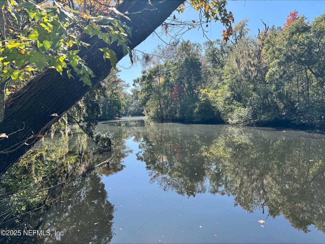 4301 Lazy Acre Road - Photo 1