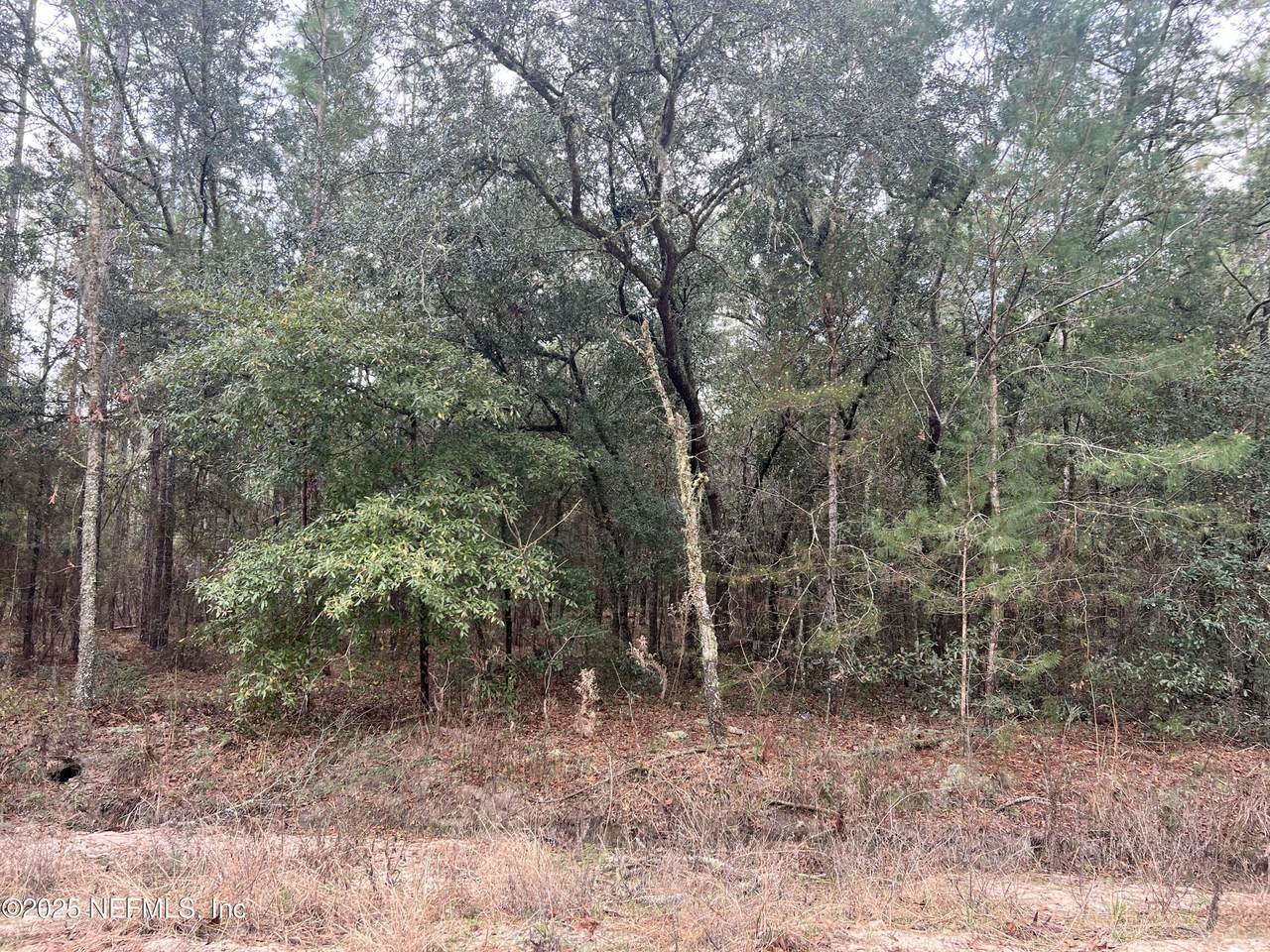 0 Trout Lake Circle - Photo 1