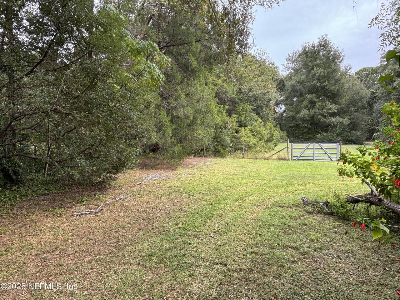 3325 Golden Gem Road - Photo 1