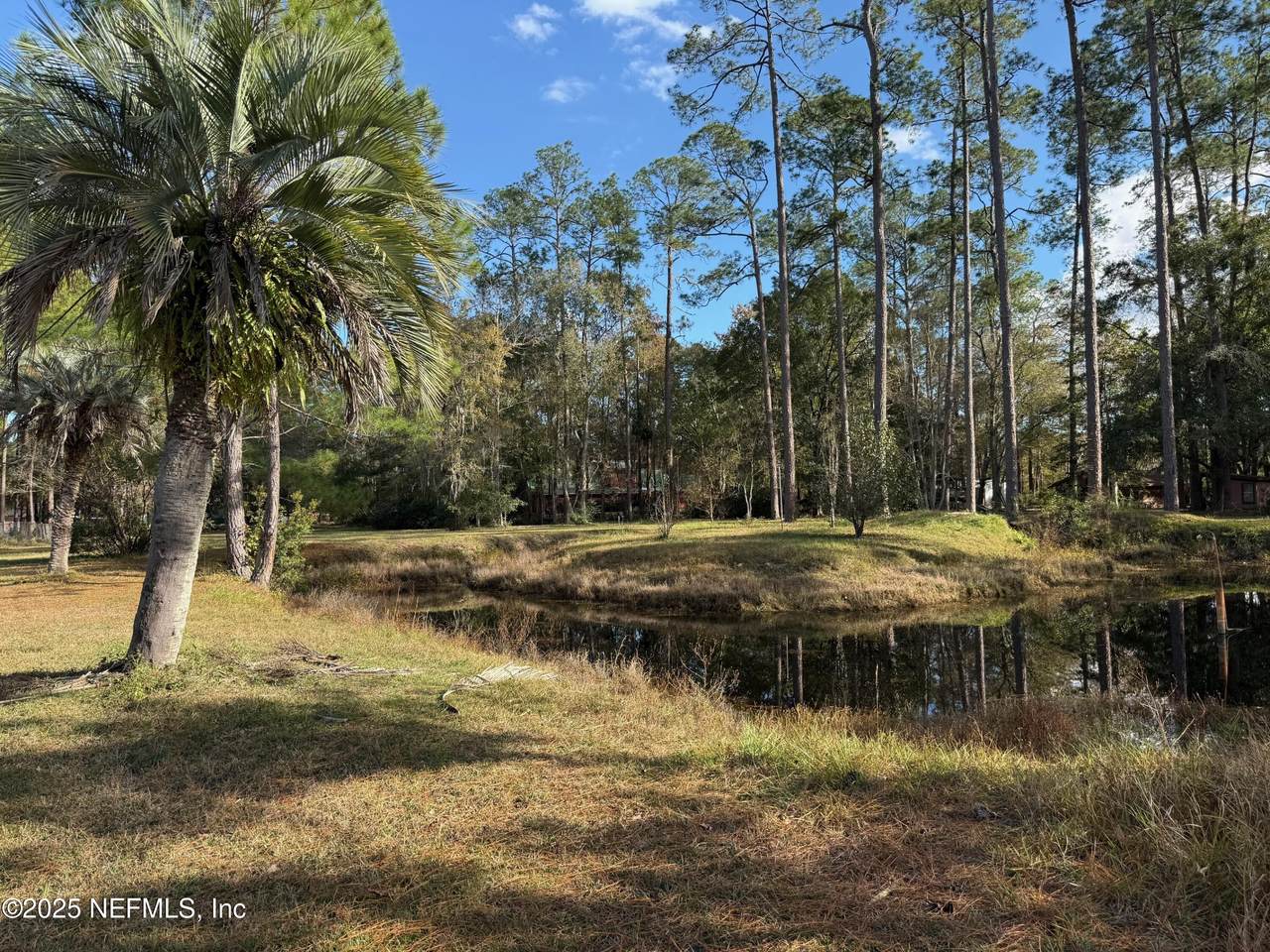 0 V C Johnson Rd Road - Photo 1