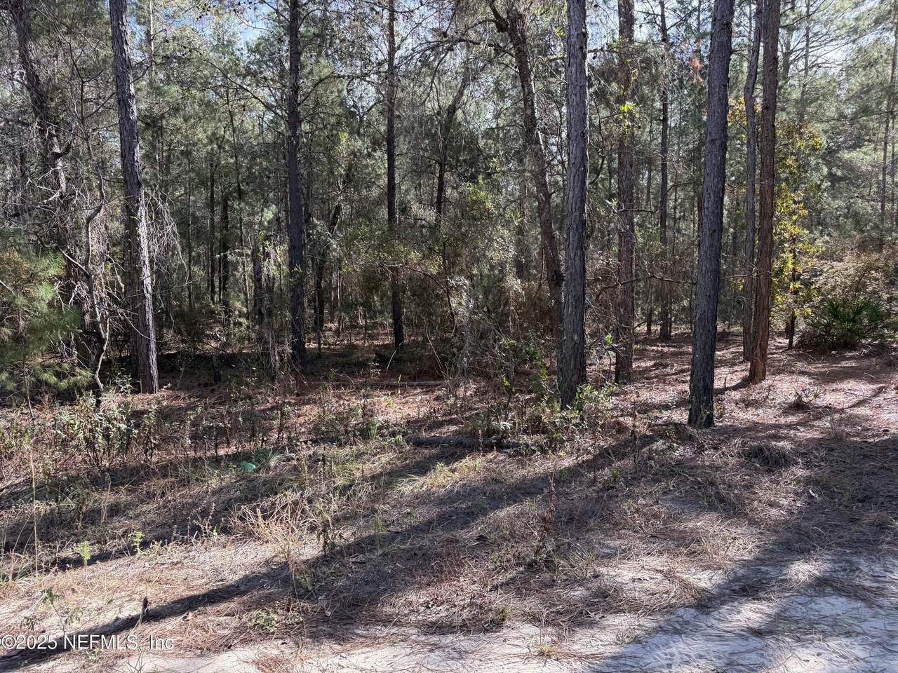 126 Lura Lane - Photo 1