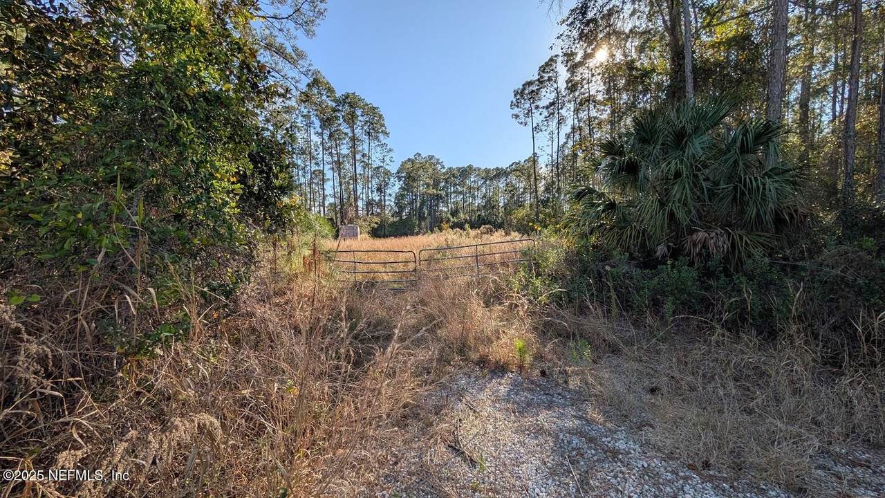 113 White Pine Lane - Photo 1