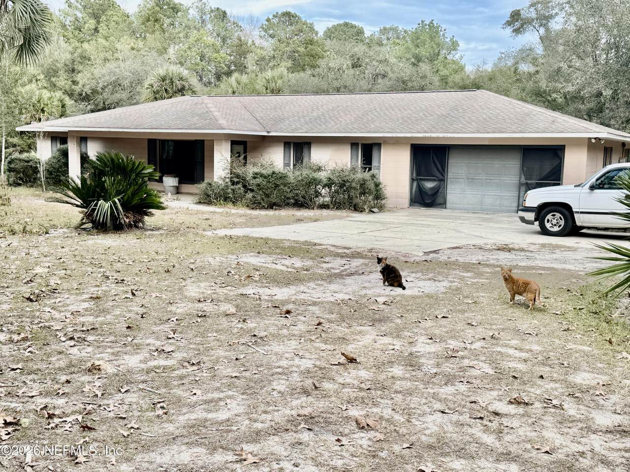 850 Cousintown Road - Photo 1