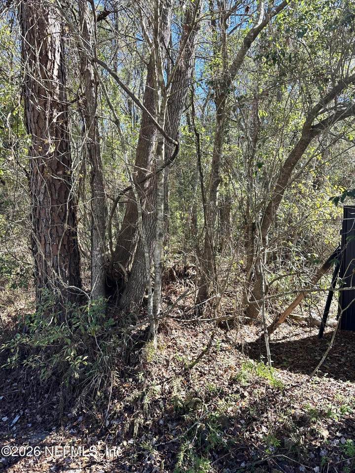 0 Old Kings Road - Photo 1