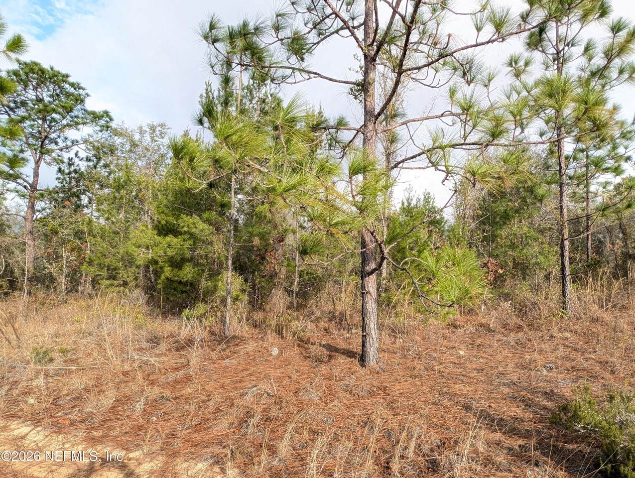 430 Cherry Street - Photo 1