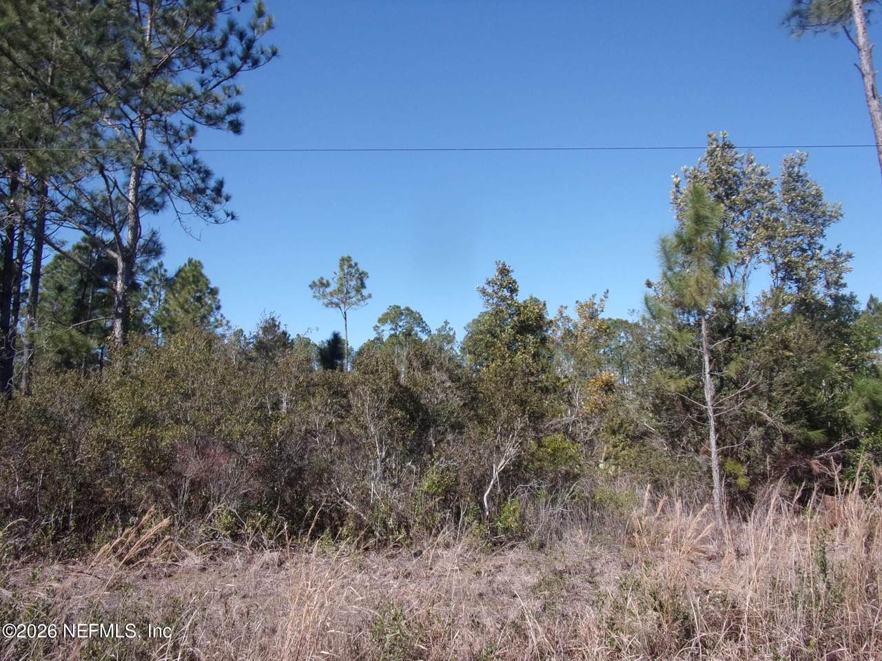 1658 State Rd 19 - Photo 1