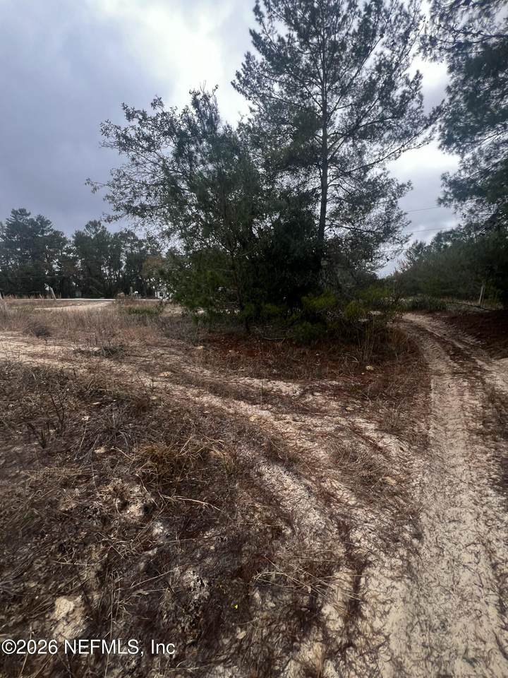 226 Ridge Road - Photo 1