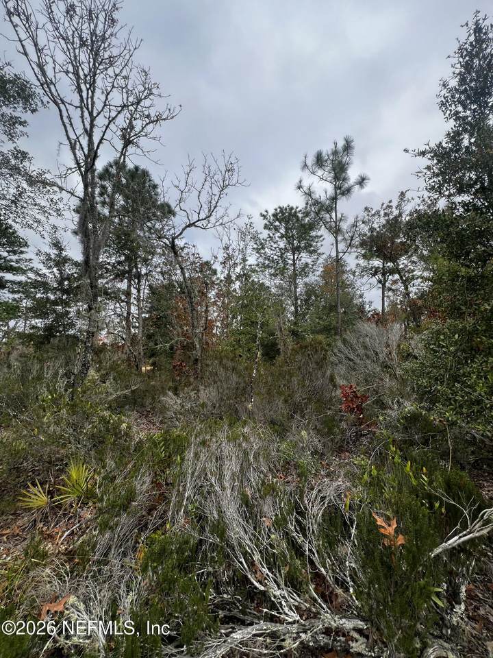 307 Lemon Street - Photo 1