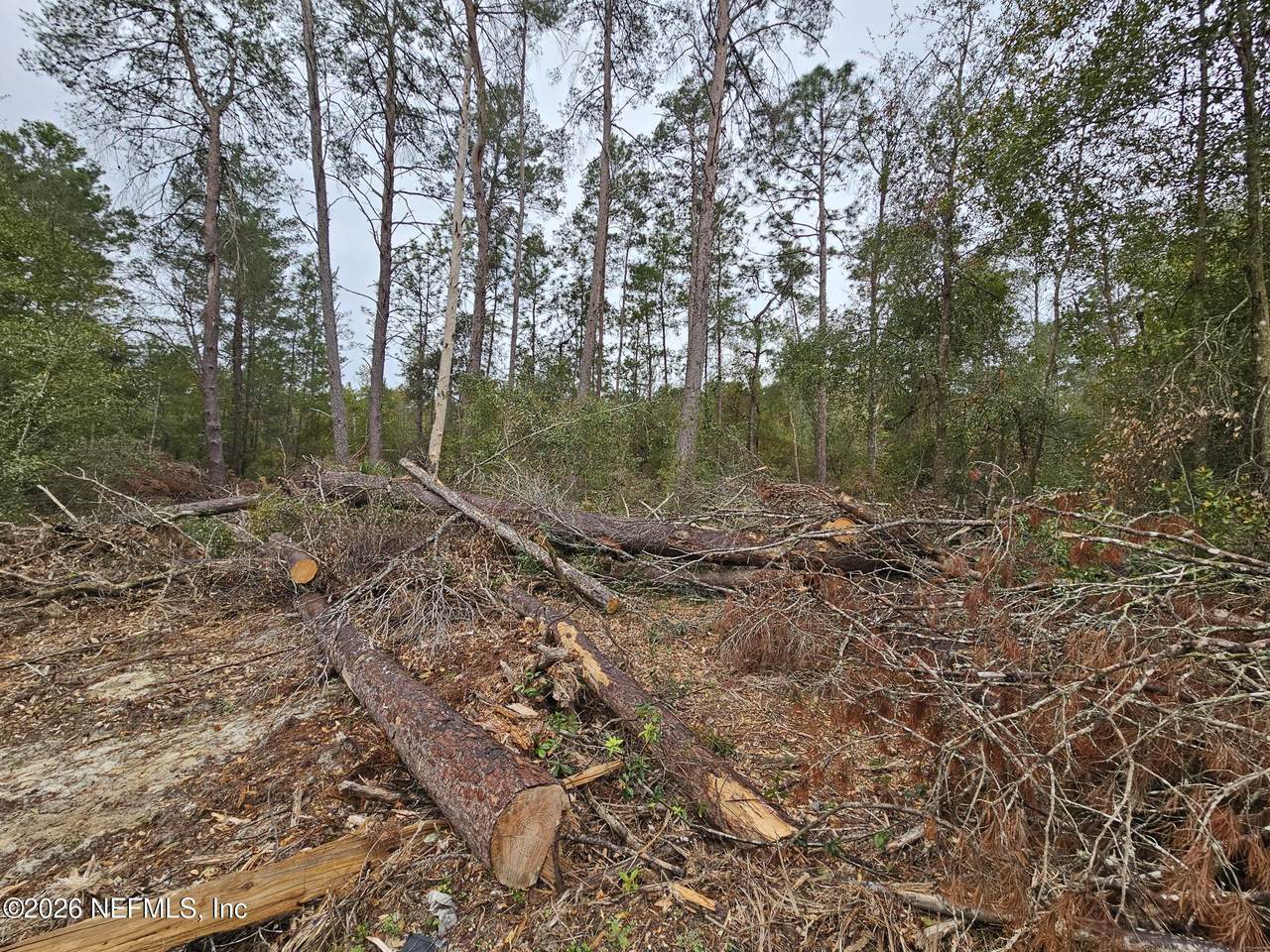 https://bt-photos.global.ssl.fastly.net/nefar/1280_boomver_1_2129694-2.jpg