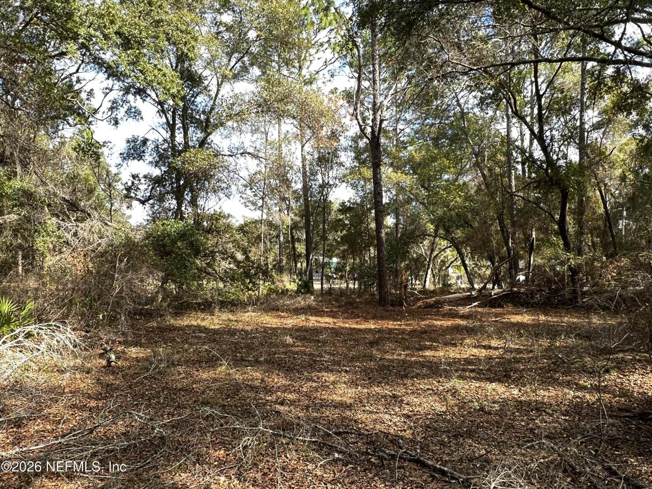 141 Woodland Lane - Photo 1