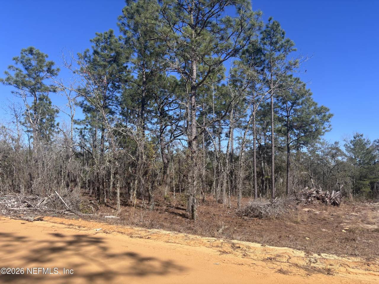 0 Violet Avenue - Photo 1