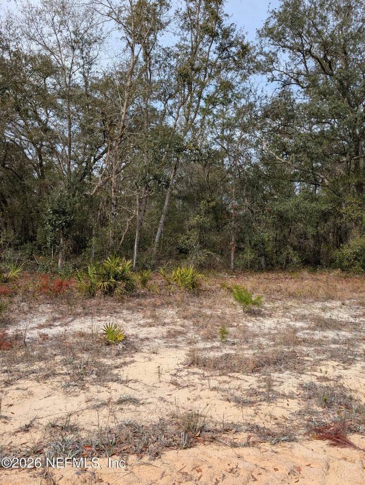 0 David Avenue - Photo 1