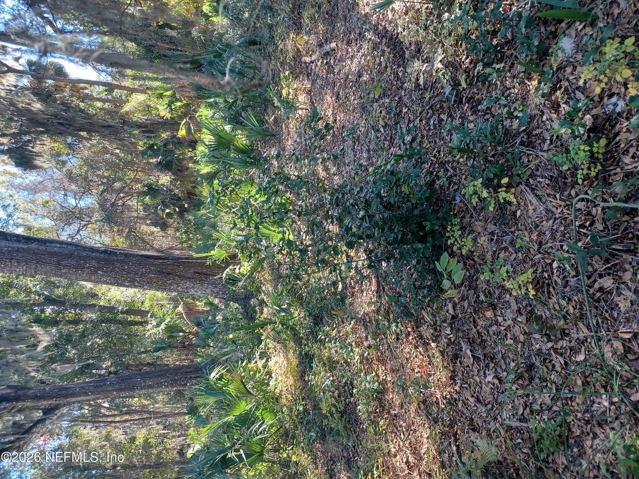 2499 Henley Road - Photo 1