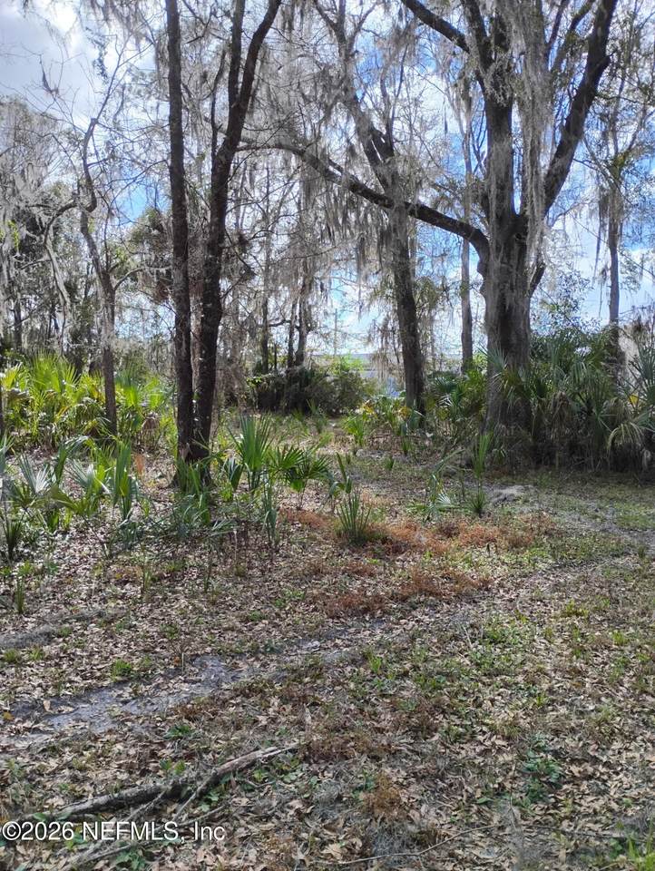 22371 County Rd 200B - Photo 1
