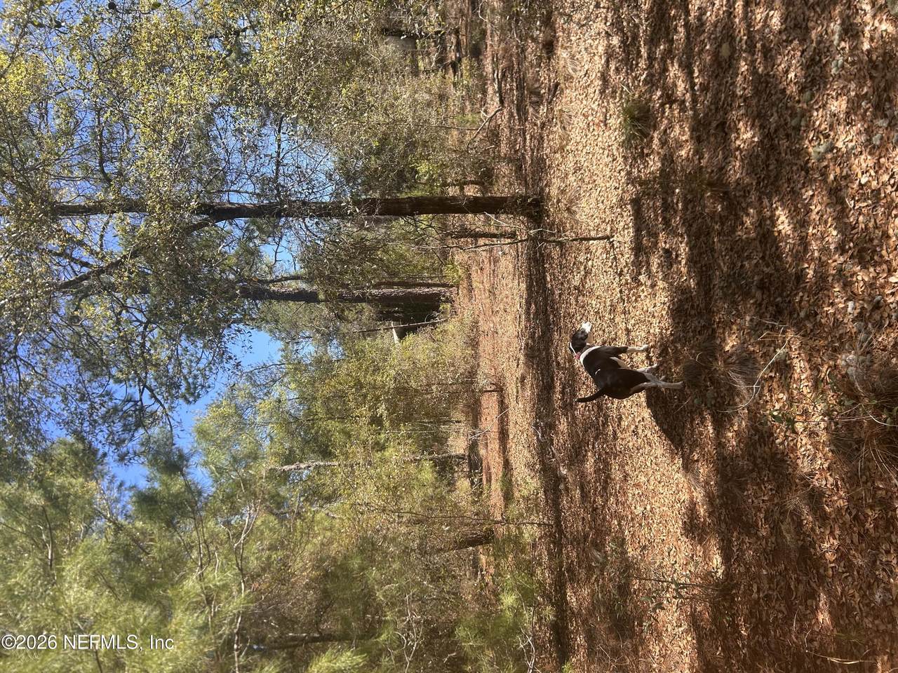 0 Honeysuckle Trail - Photo 1