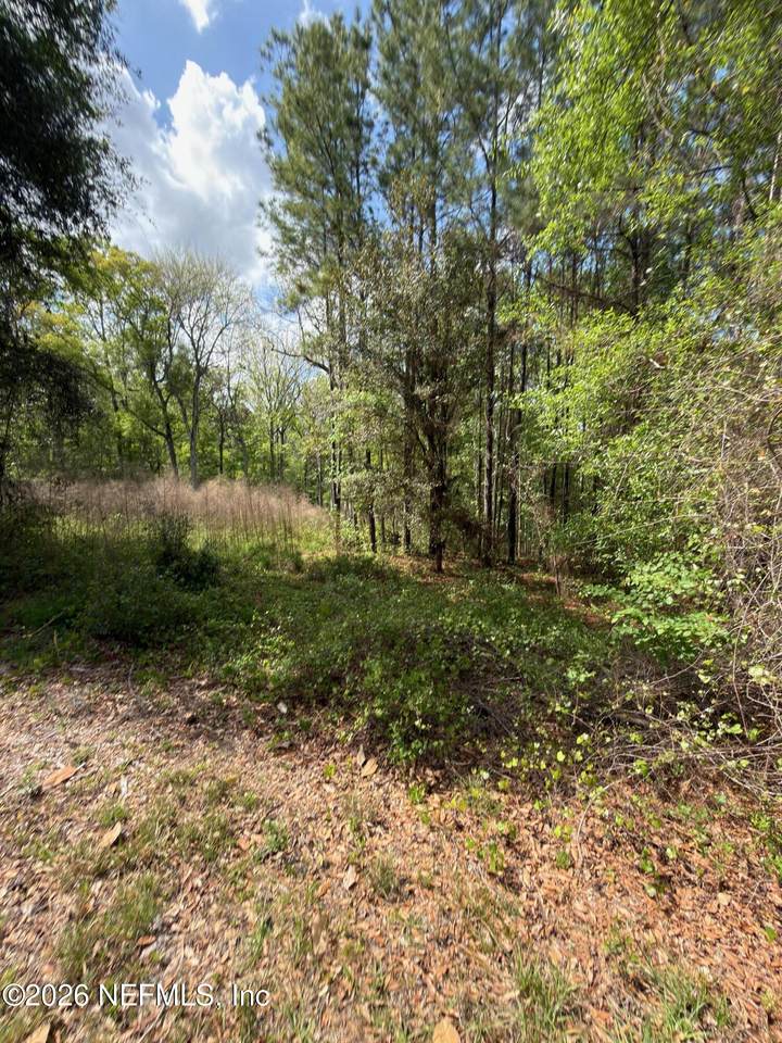 4501 Tarragon Avenue - Photo 1