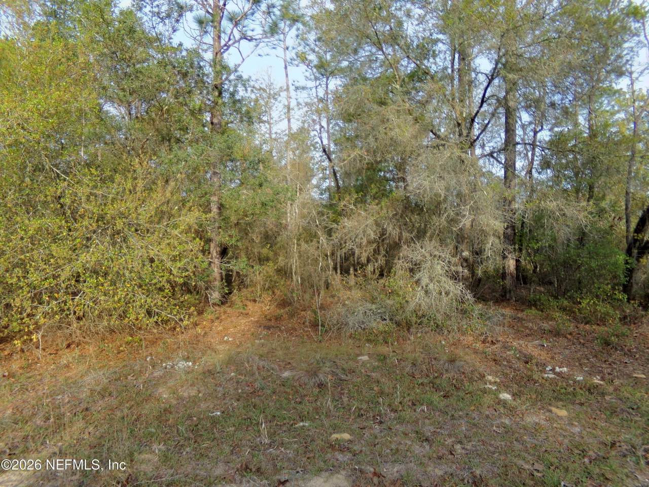 111 Brass Street - Photo 1