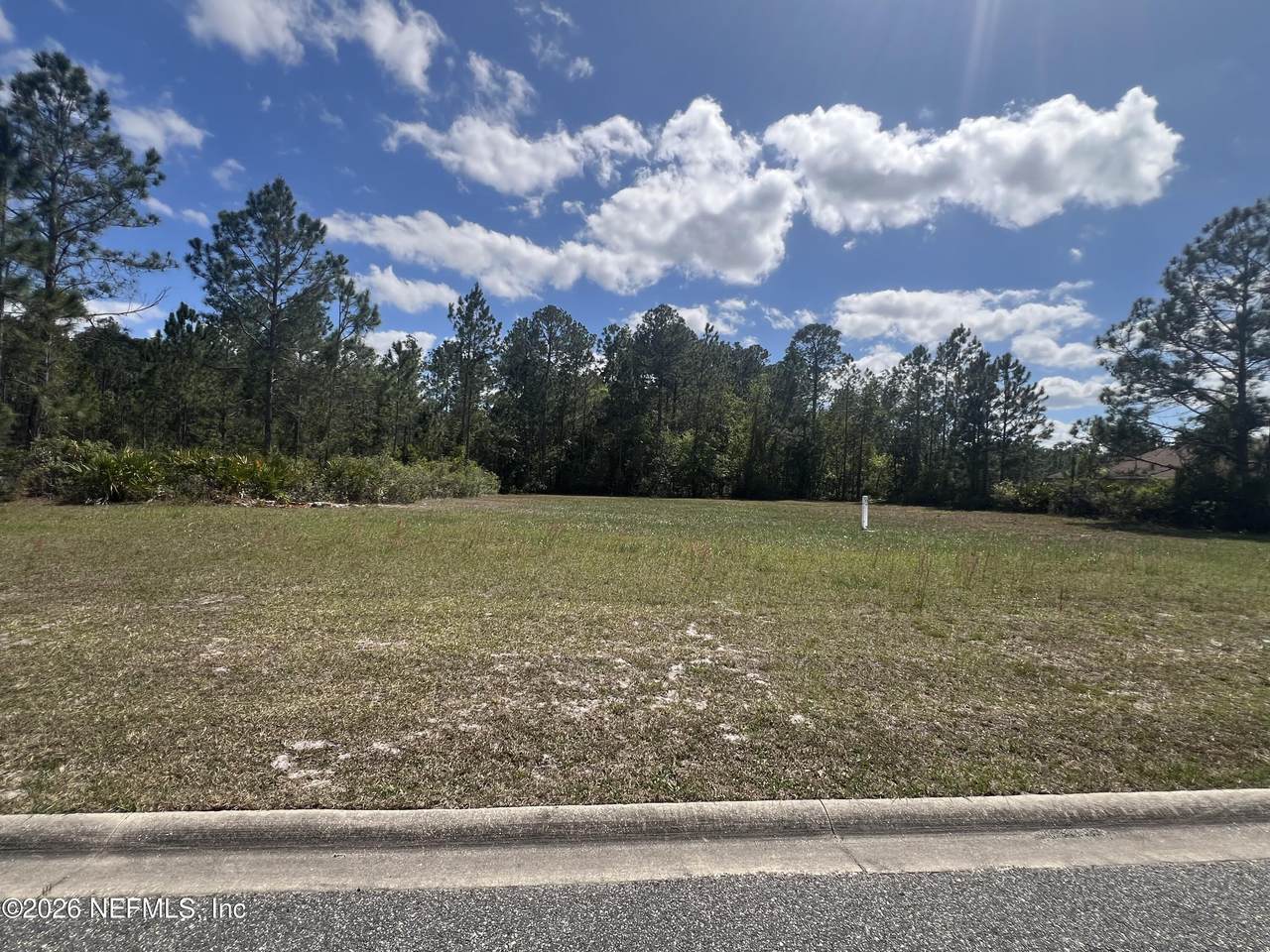 11157 Saddle Club Drive - Photo 1