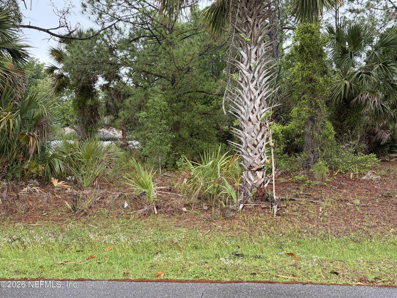 31 Whittingham Lane - Photo 1