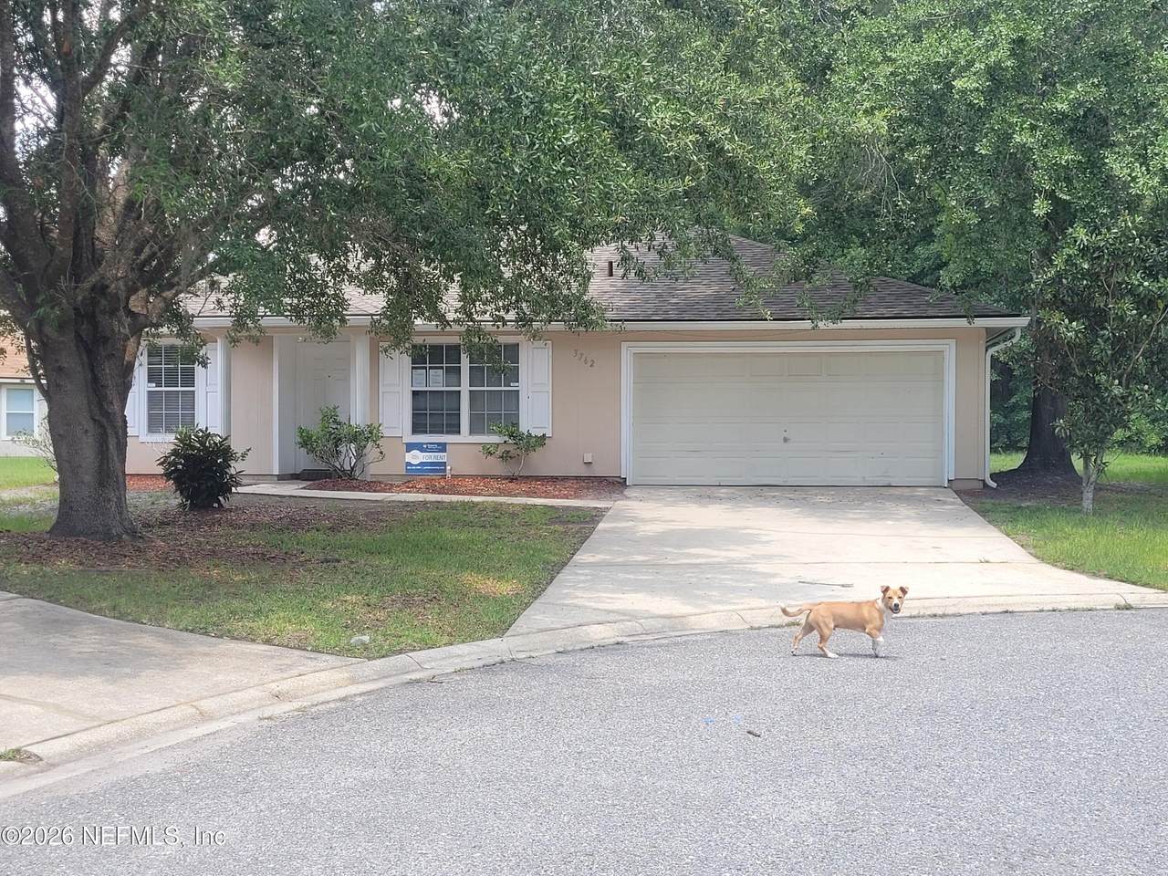 3762 Lauren Oak Lane - Photo 1