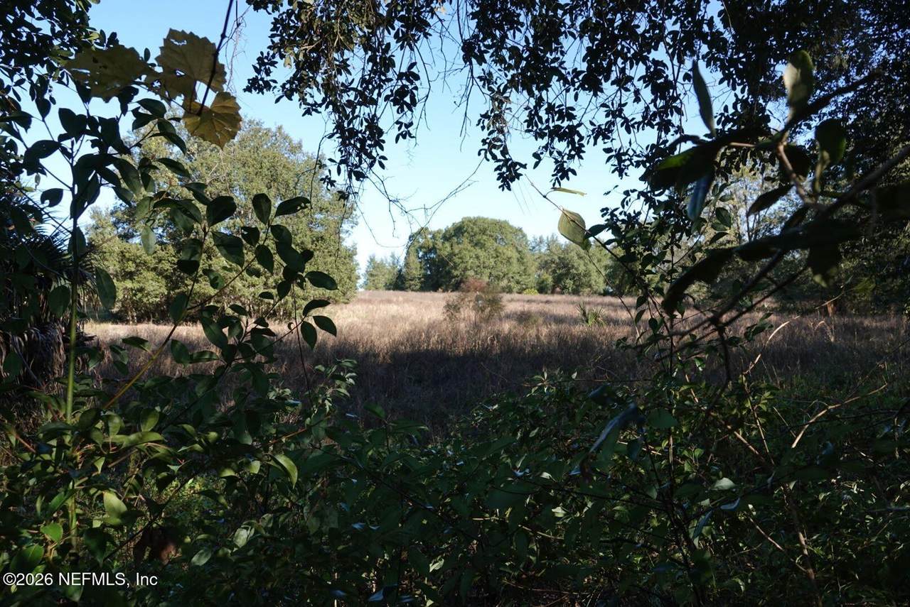 525 Raulerson Road - Photo 1