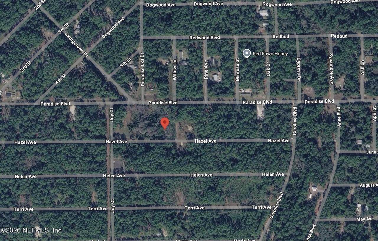212 Hazel Avenue - Photo 1