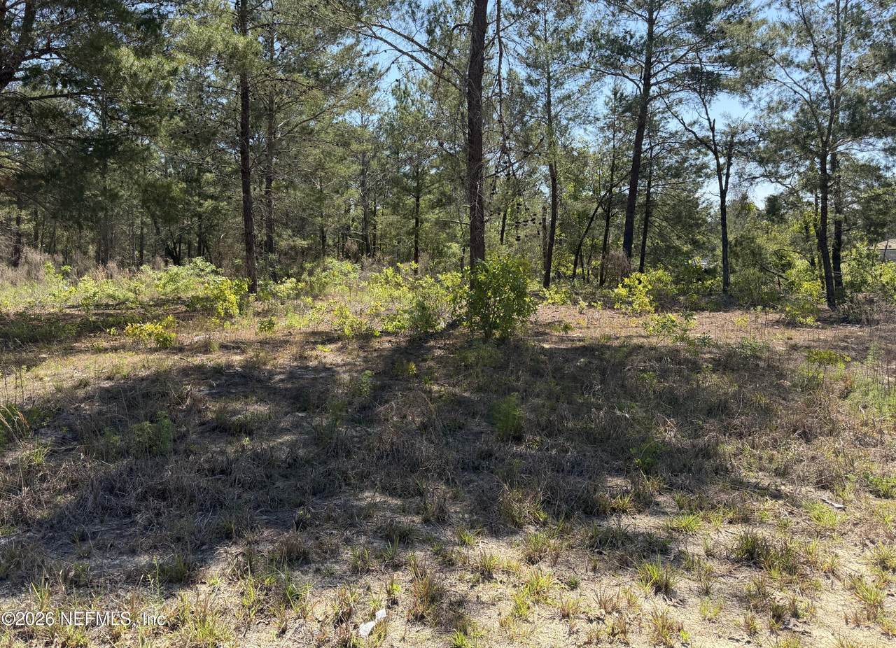 7577 Casa Grande Boulevard - Photo 1