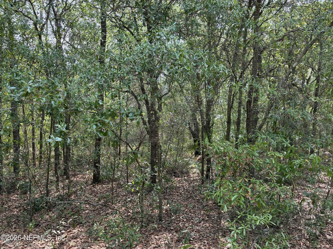 https://bt-photos.global.ssl.fastly.net/nefar/1280_boomver_1_2141068-2.jpg