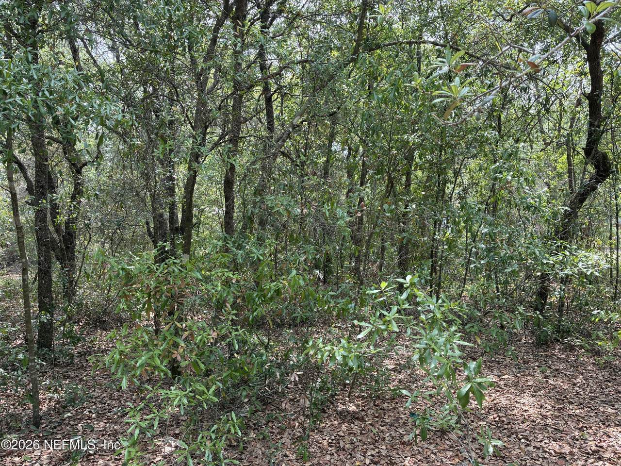 https://bt-photos.global.ssl.fastly.net/nefar/1280_boomver_1_2141068-2.jpg