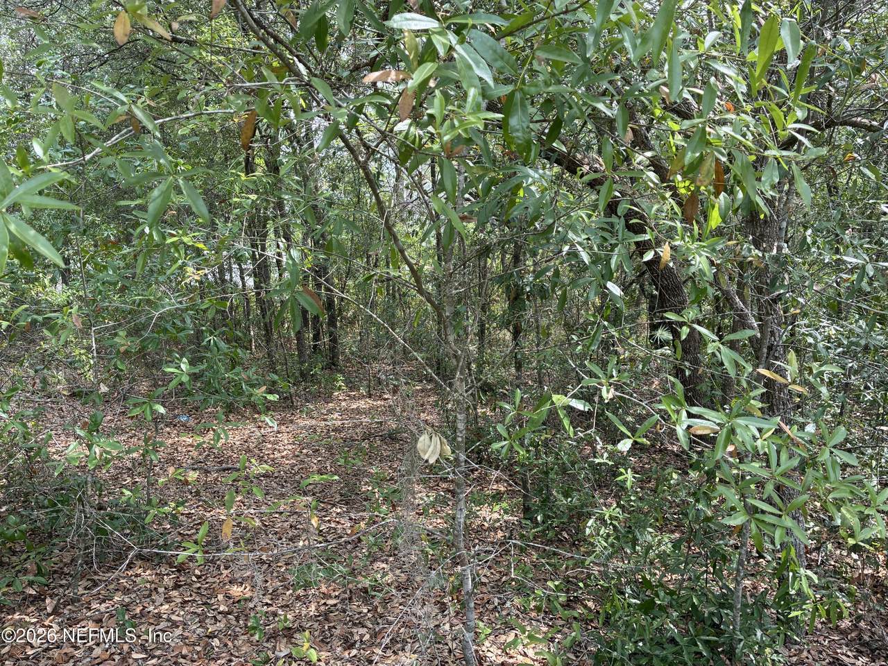https://bt-photos.global.ssl.fastly.net/nefar/1280_boomver_1_2141068-2.jpg